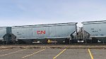 CN 114541